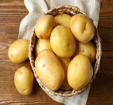 اداء قوي للصادرات المصرية من البطاطس بإجمالي 238 ألف طن